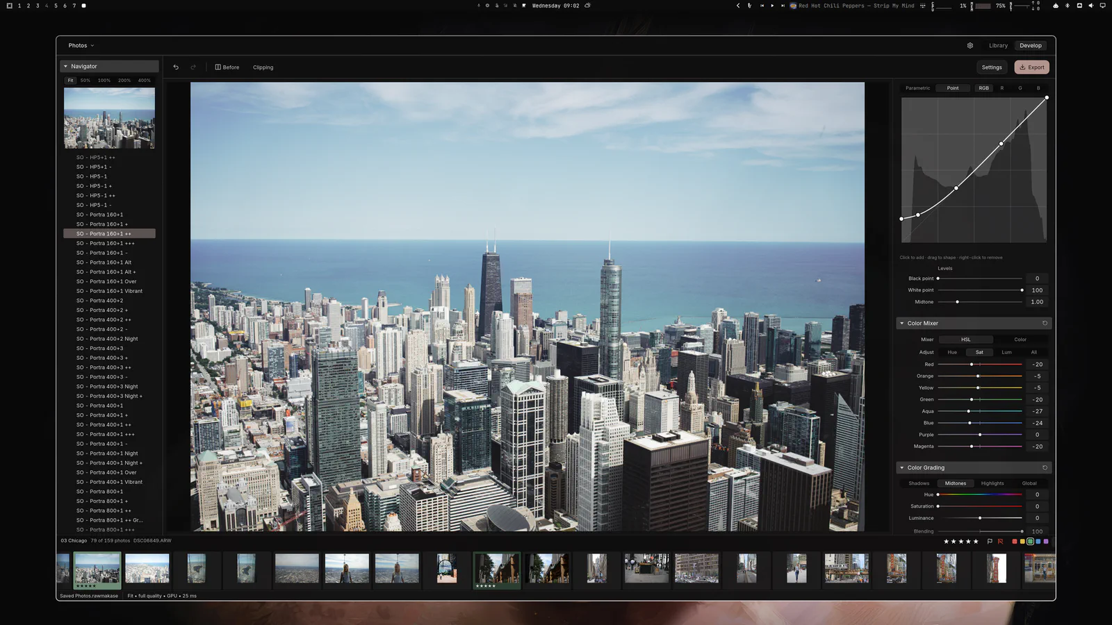 RAWmakase Develop view with presets, the photo and curve and color controls